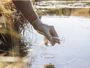 Thuốc kháng sinh đang làm ô nhiễm sông ngòi trên toàn thế giới